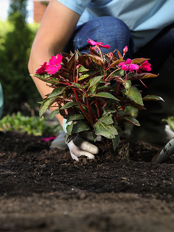 Property development